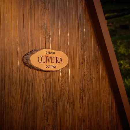 Oliveira * Castelo de Paiva