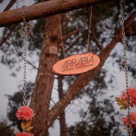 Oliveira Appartement